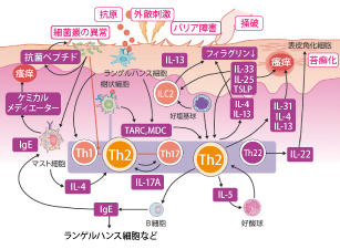 皮膚科・アレルギー科