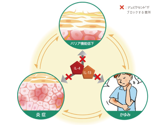 皮膚科・アレルギー科