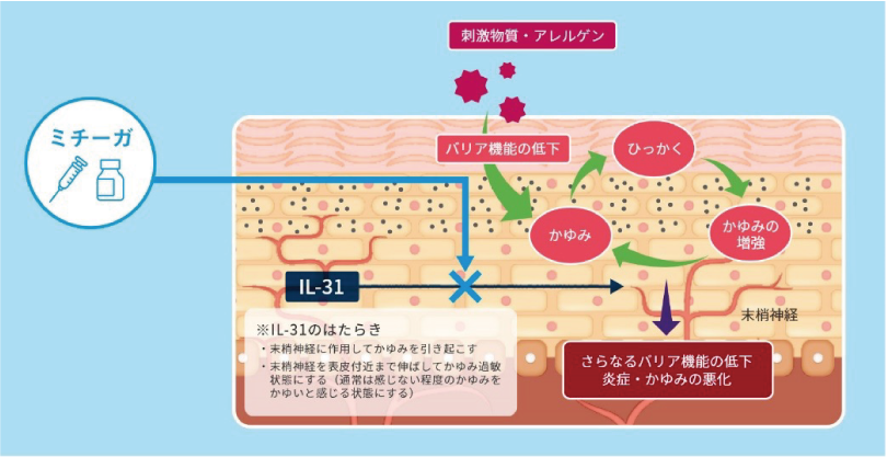 皮膚科・アレルギー科