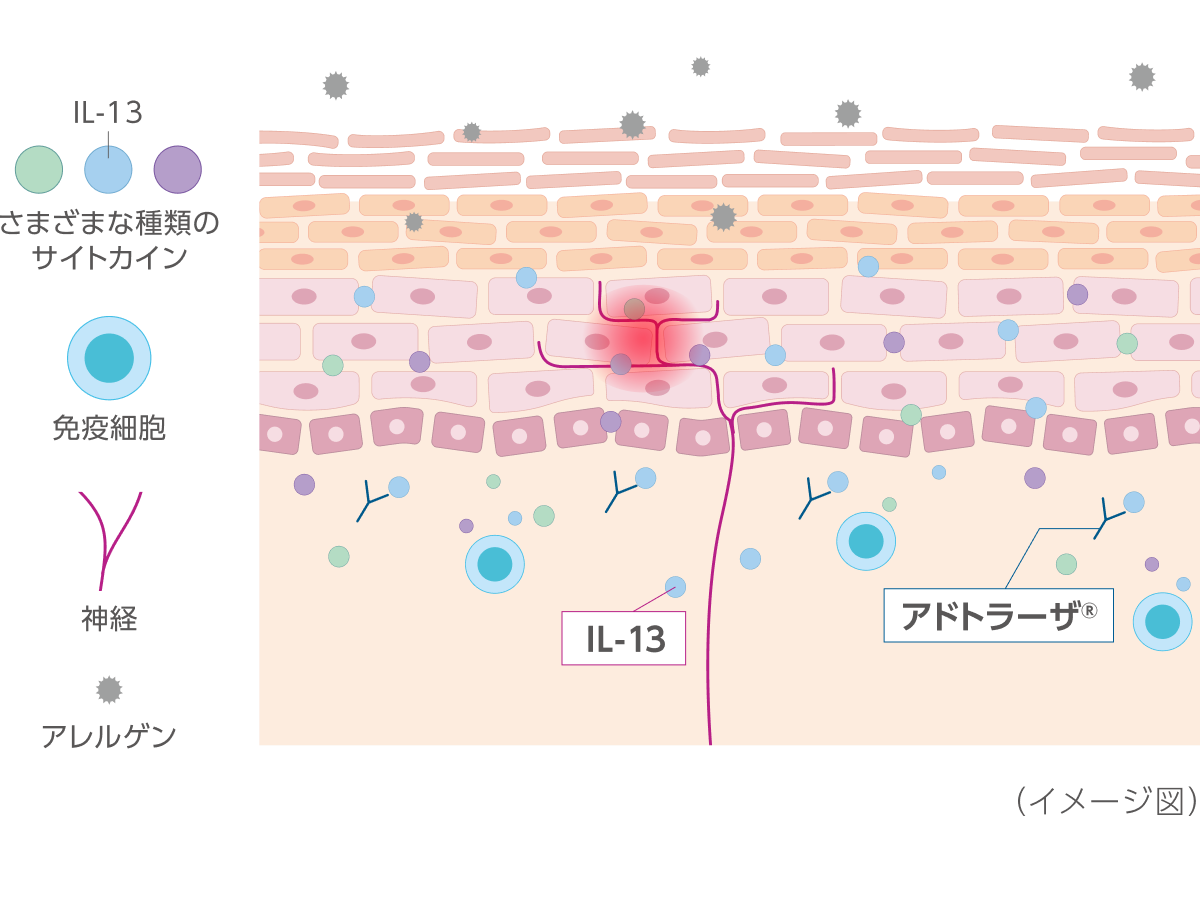 皮膚科・アレルギー科