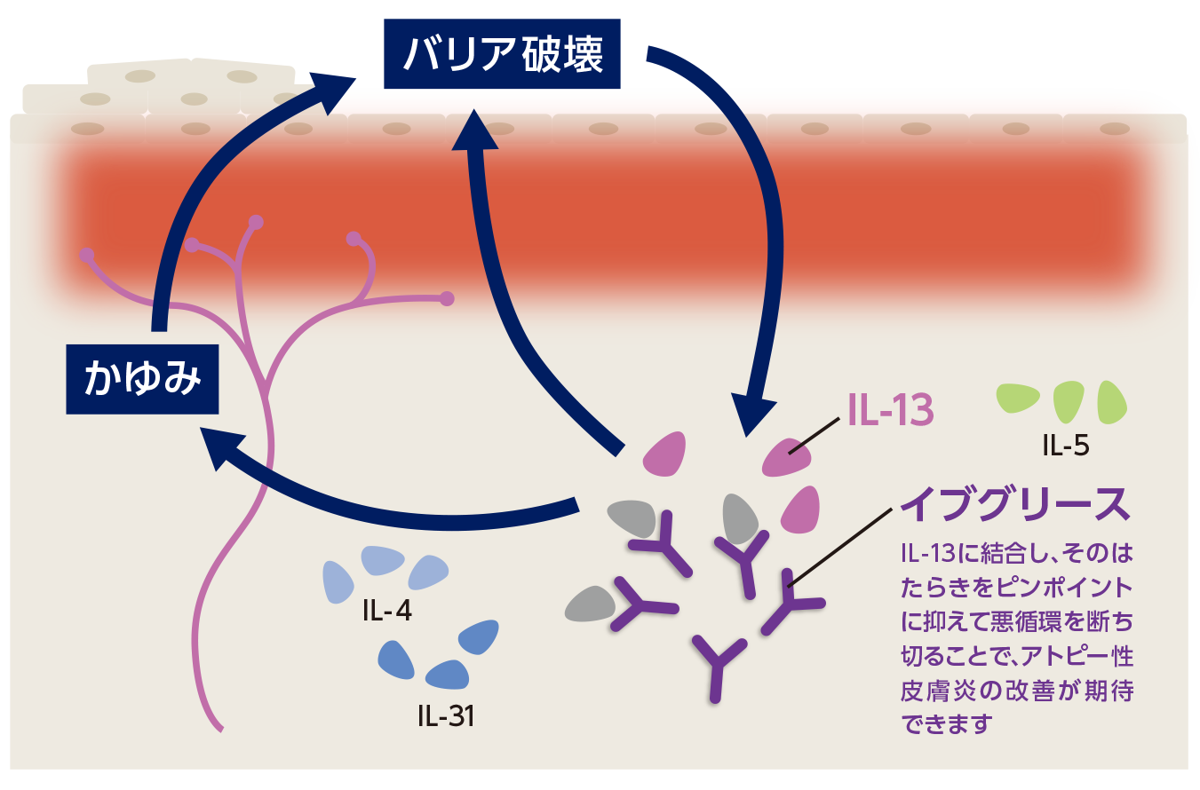 皮膚科・アレルギー科