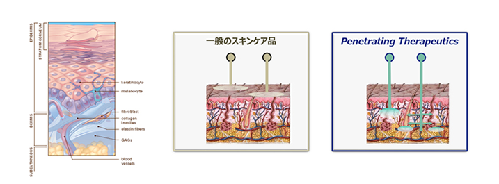 ゼオスキンヘルスの優れたデリバリーシステム