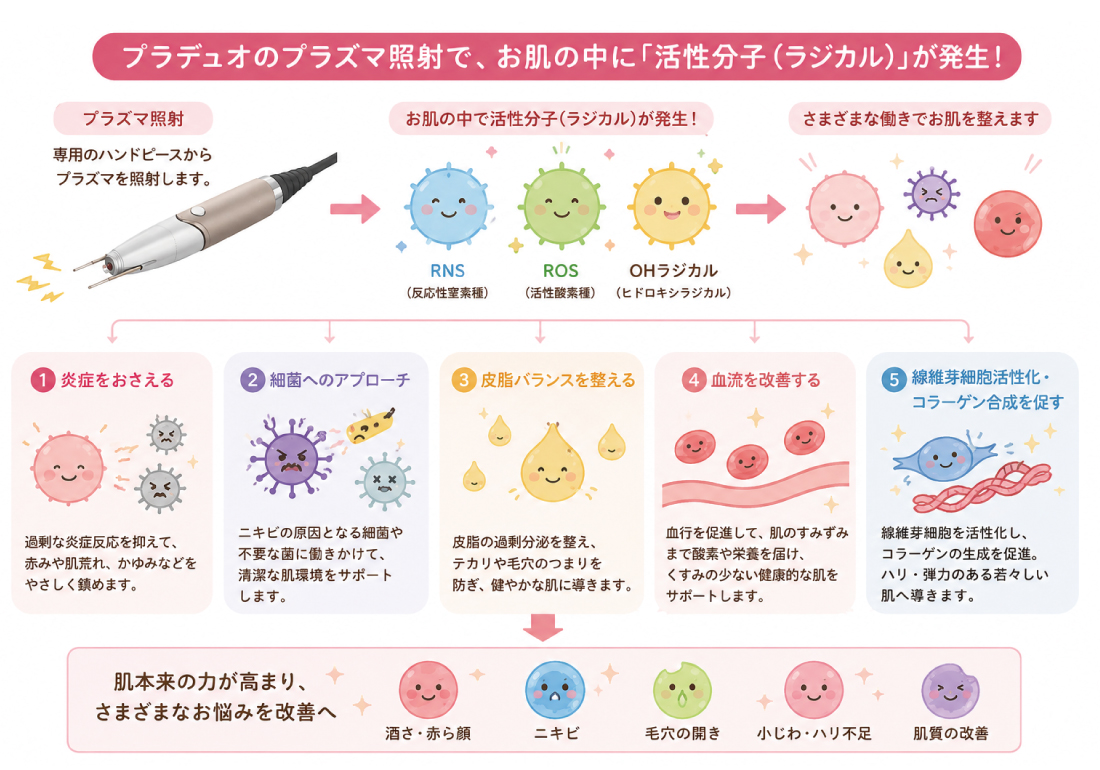 プラデュオ