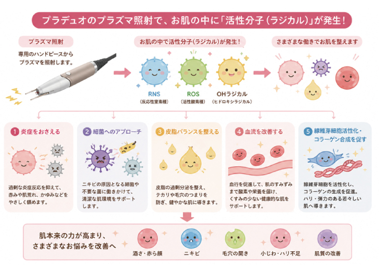 プラデュオ